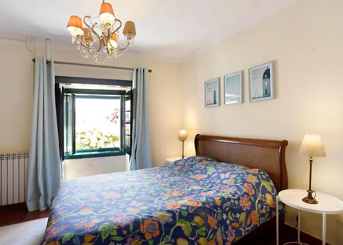 Casa Tatil Evi